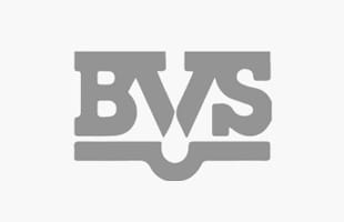 partner-bvs